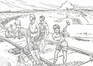 ssb ppdt - Perception and description test